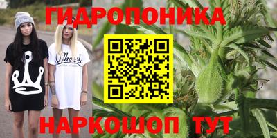 твердый Лесосибирск