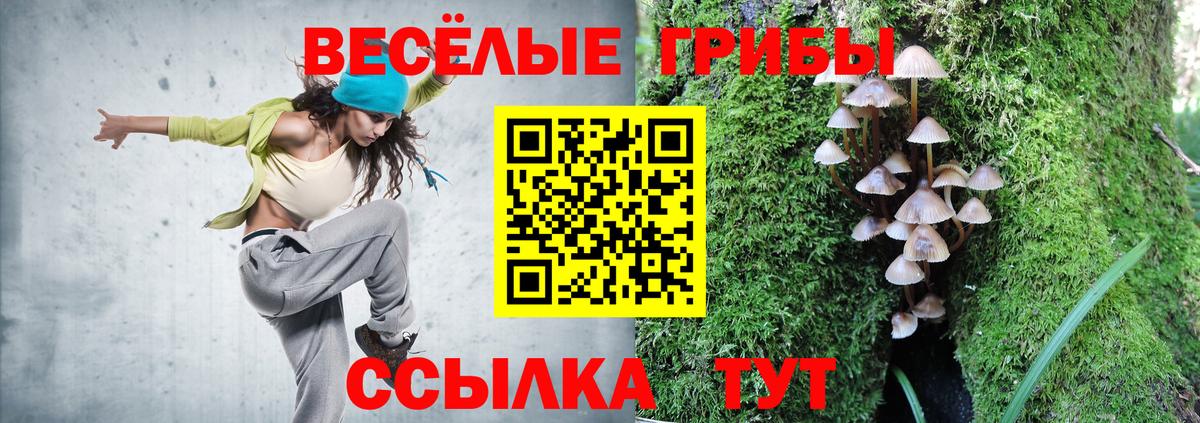 Псилоцибиновые грибы Magic Shrooms  Вход с VPN  Псилоцибиновые грибы мицелий  Маркс 